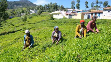 Photo of नीलगिरी चाय सहकारी समिति सुर्खियों में